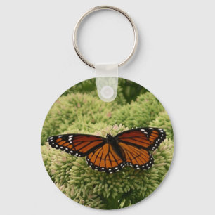 Llavero Mariposa Virrey Fotografía De Naturaleza Hermosa