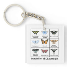 Mariposas de Chautauqua