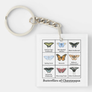 Llavero Mariposas de Chautauqua