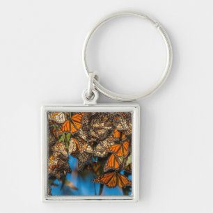 Llavero Mariposas monarca migratorias se aferran a las hoj