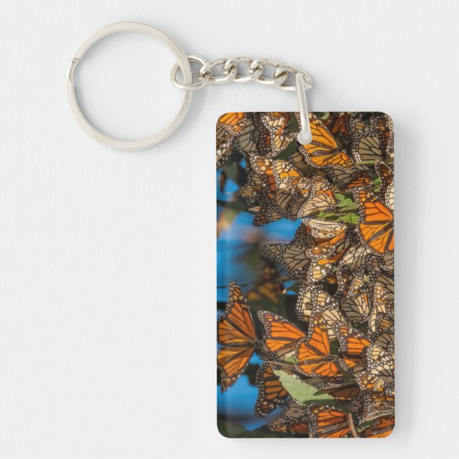 Llavero Mariposas monarca migratorias se aferran a las hoj (Frente)