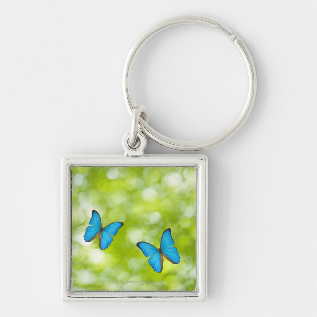Llavero Mariposas que vuelan, compuesto de Digitaces (Frente)