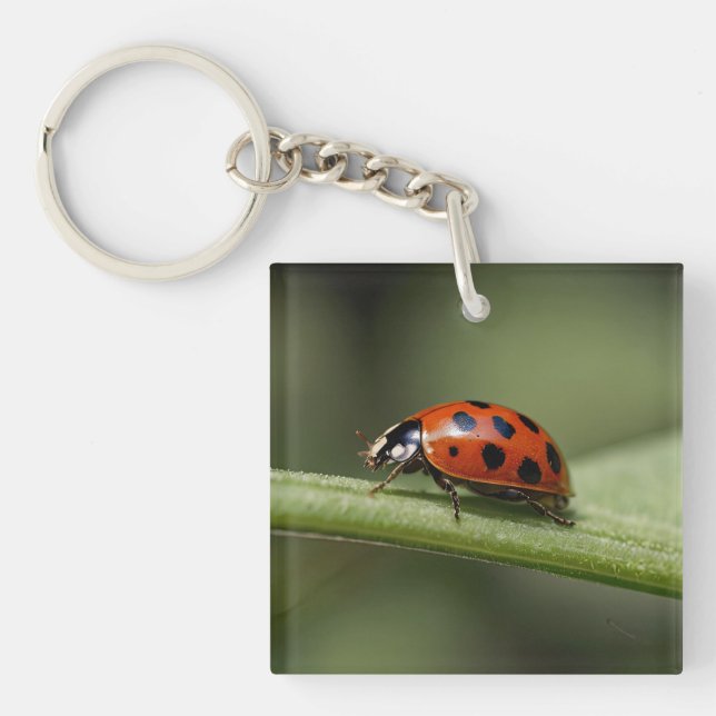 Llavero Mariquita Insecto (Frente)