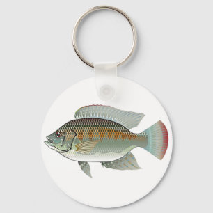 Llavero Marisco crudo Tilapia Vector de peces