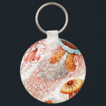 Llavero Marisco, Discomedusae de Ernst Haeckel<br><div class="desc">Jellyfish,  Discomedusae Scheibenquallen por Ernst Haeckel Keychain</div>