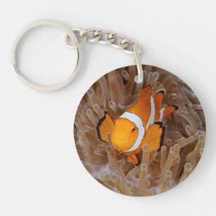 Llavero Marisco - Molokai, acantilado de la costa norte