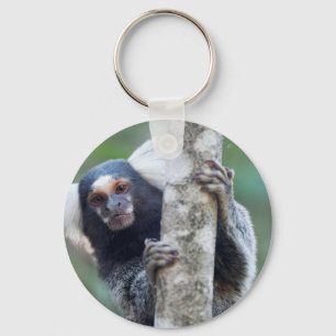 Llavero Marmoset de Peekaboo (Callithrix jacchus)