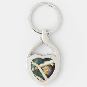 Llavero Marmoset Monkey Hi There, anillo de claves Metaliz