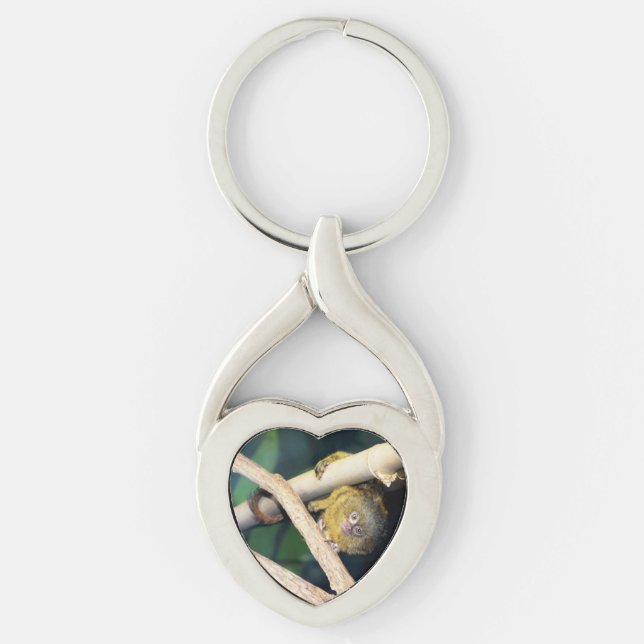 Llavero Marmoset Monkey Hi There, anillo de claves Metaliz (Anverso)