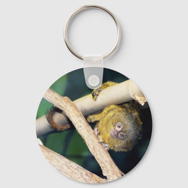 Llavero Marmoset Monkey Hola, Keyring (Anverso)