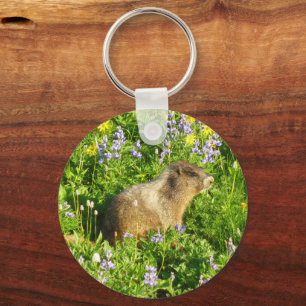 Llavero Marmot en Mont Rainier Wildflowers