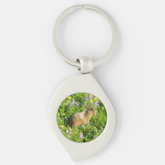Llavero Marmot en Mont Rainier Wildflowers
