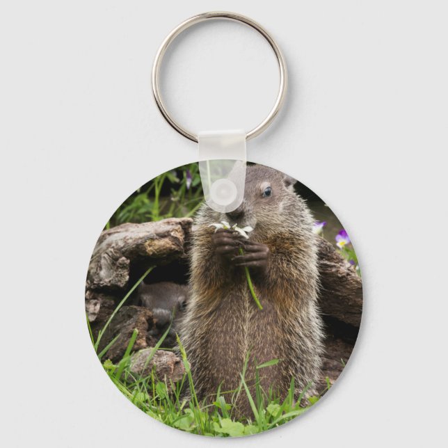 Llavero Marmota comiendo una flor (Anverso)