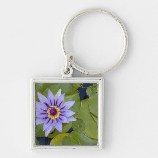 Llavero Martinica, Antillas Francesas, Indias Occidentales (Frente)