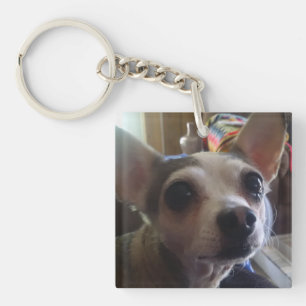 Llavero Mascota