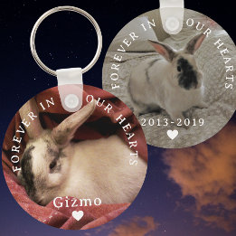 Llavero Mascota Conejo Conejo Conejo Conmemorativo Dos Fot