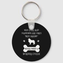 Mascota de Collie Fronterizo Perro mejor amigo