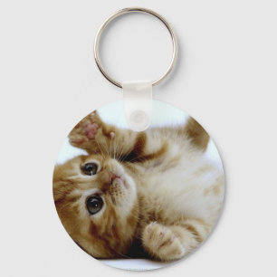 Llavero mascota ginger tabby lindo