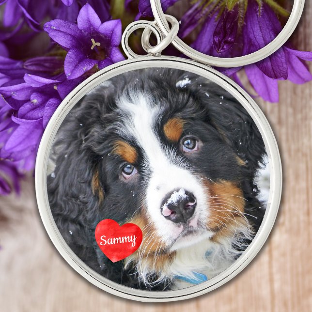 Llavero Mascota Mascota memorial pérdida regalo simpatía f (Subido por el creador)