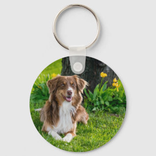Llavero Mascota personalizado foto perro amante de la foto
