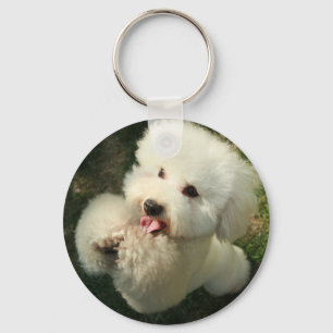 Llavero Mascotas, perro, caniche