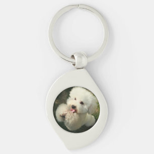 Llavero Mascotas, perro, caniche