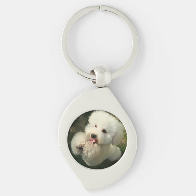 Llavero Mascotas, perro, caniche (Anverso)