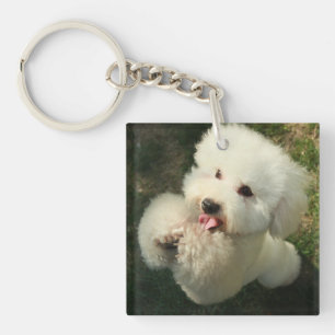 Llavero Mascotas, perro, caniche