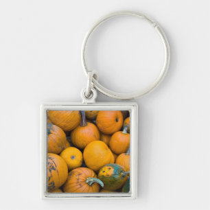 Llavero Massachusetts, Salisbury, calabazas, otoño