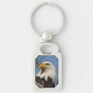 Llavero Mature Bald Eagle Close Head