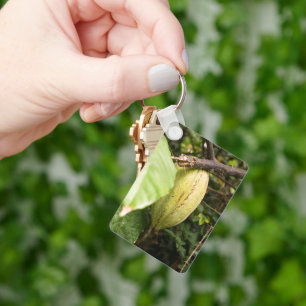 Llavero mazorca de cacao