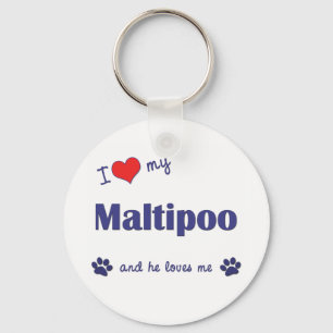 Llavero Me encanta mi Maltipoo (perro macho)