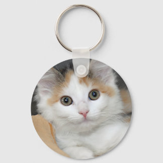 Llavero Mediumhair Calico Shelter Kitten Keychain