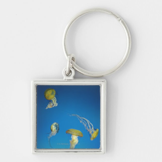 Llavero Medusas (Frente)