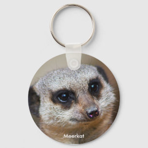 Llavero Meerkat