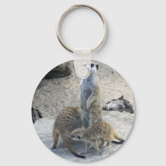 Llavero Meerkat