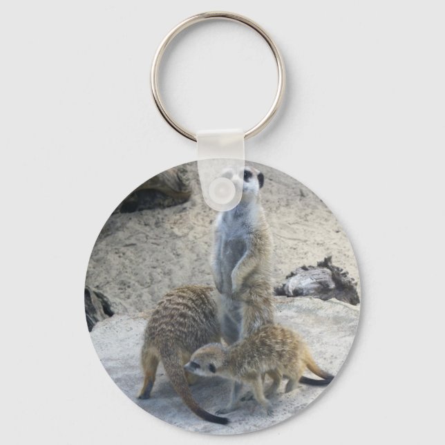 Llavero Meerkat (Anverso)