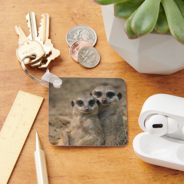 Llavero Meerkat 067 (Escritorio )
