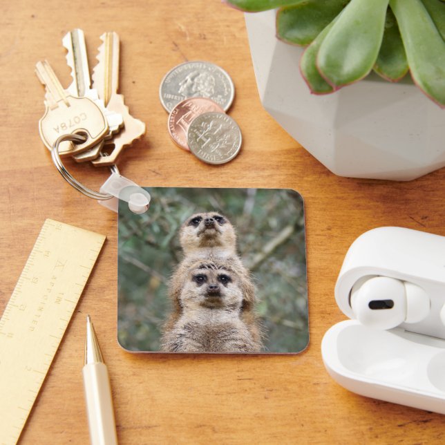 Llavero Meerkat 081 (Escritorio )