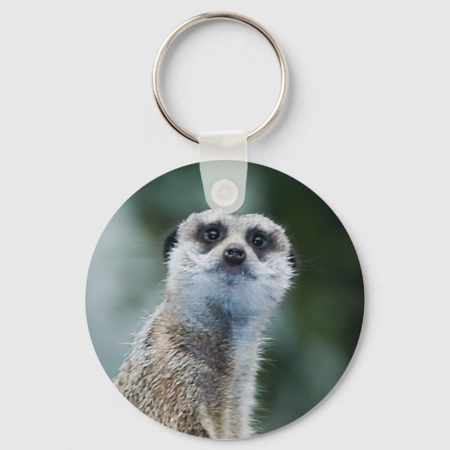 Llavero Meerkat Keychain (Anverso)