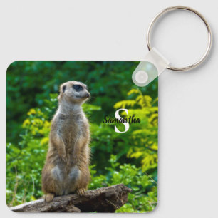 Llavero Meerkat Keyring