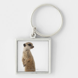 Llavero Meerkat o Suricate - suricatta del Suricata