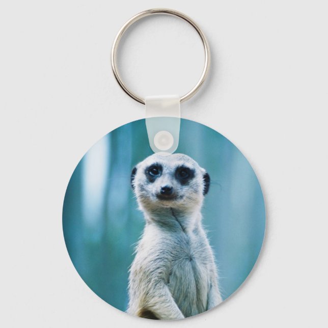 Llavero Meerkat Staredown - The Keychain (Anverso)