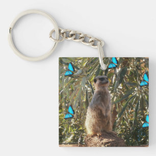 Llavero Meerkat Y Mariposas Azules,