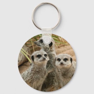 Llavero Meerkats en el puesto de observación