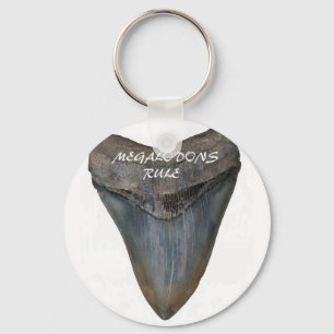 Llavero Megalodon Shark Tooth