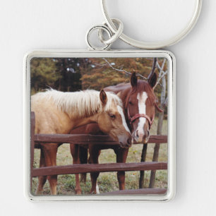 Llavero Mejores amigos