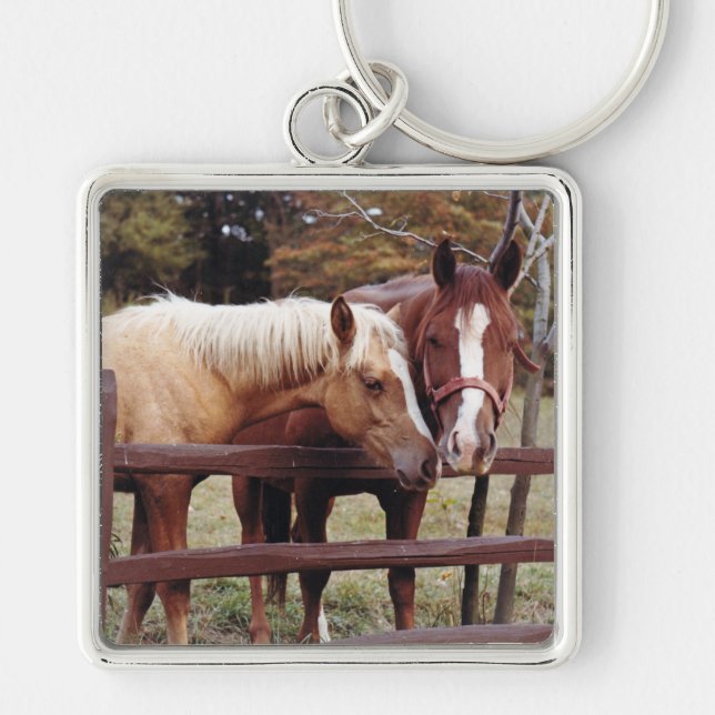 Llavero Mejores amigos (Frente)