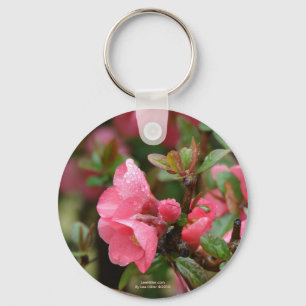 Llavero Membrillo de floración rosa en primavera