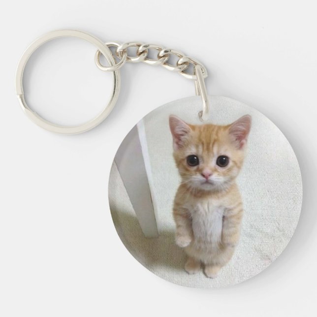 Llavero Meme de Gato de Keychain El Gato (Frente)